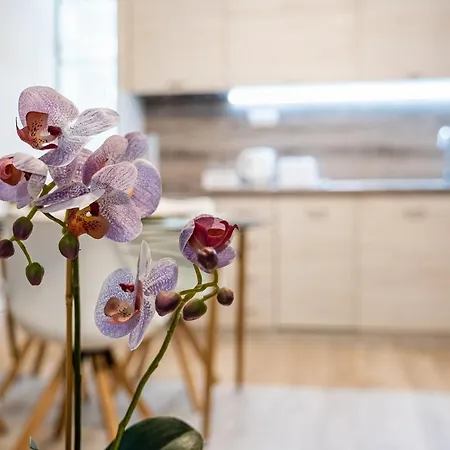 Aquamarine Apartmán Varna